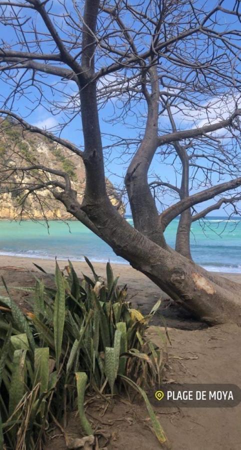 Nid Douillet En Petite Terre Au Pied Du Lac Dziani Villa Dzaoudzi Buitenkant foto